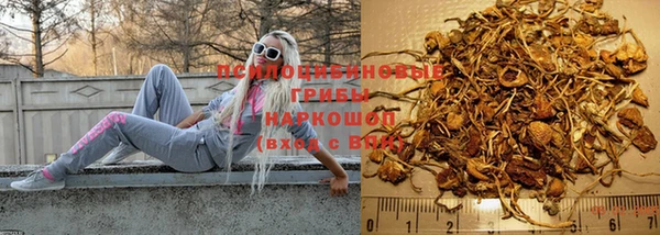 гидропоника Сосновка