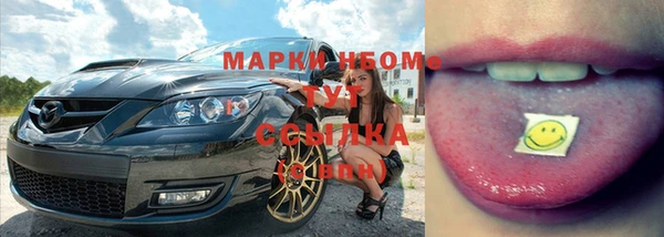 прущие крисы Сосновый Бор