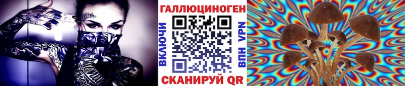 Купить где  Холмск  Галлюциногенные грибы GOLDEN TEACHER 