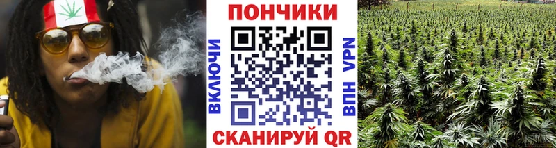 Шишки марихуана OG Kush  Купить закладки  Холмск 